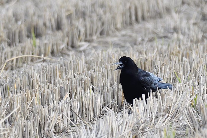 �~���}�K���X