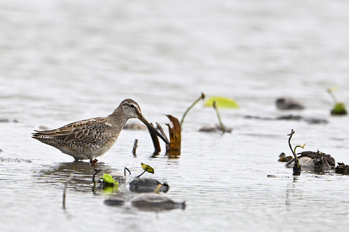 �I�I�n�V�V�M