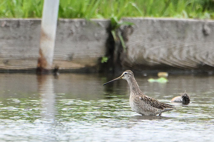 �I�I�n�V�V�M