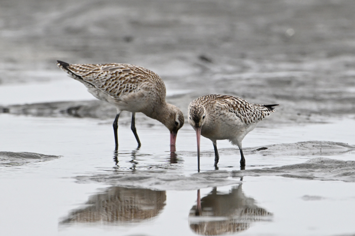 �I�I�\���n�V�V�M