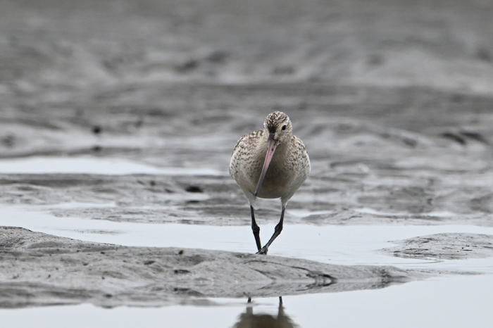 �I�I�\���n�V�V�M