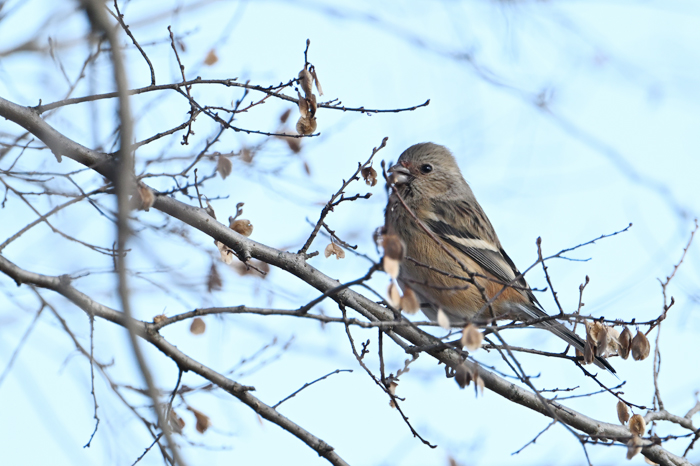 �x�j�}�V�R