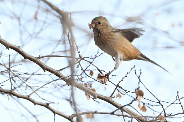 �x�j�}�V�R