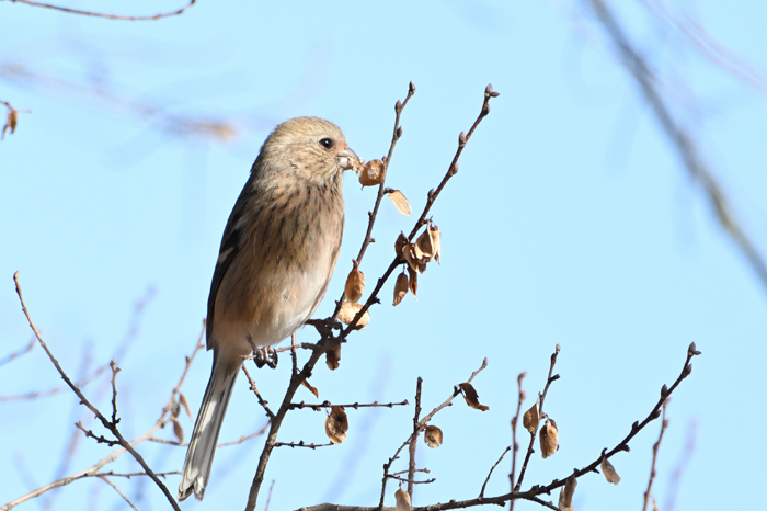 �x�j�}�V�R