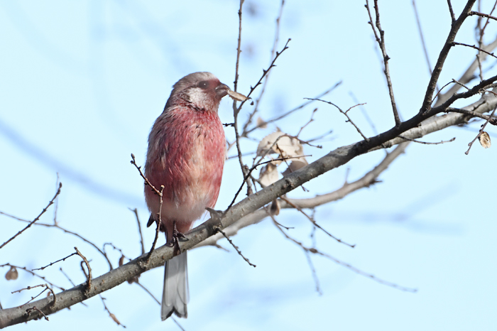 �x�j�}�V�R