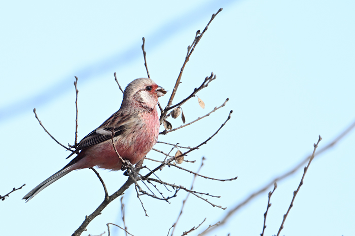 �x�j�}�V�R