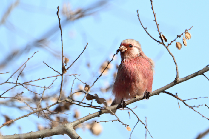 �x�j�}�V�R