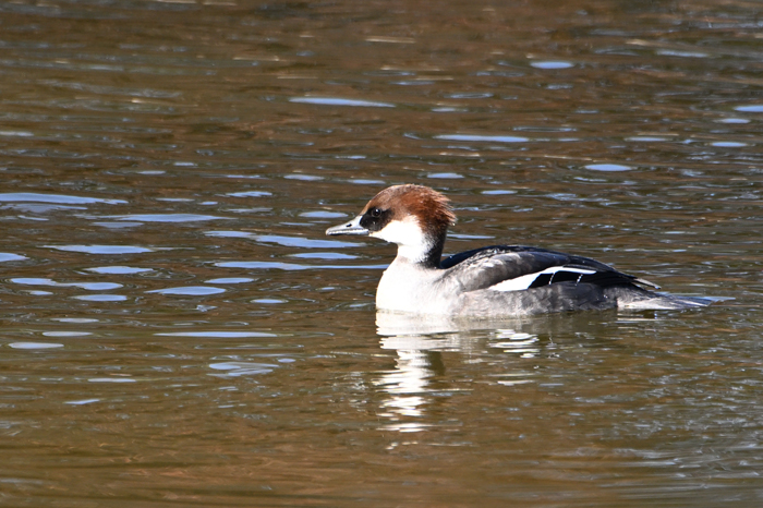 �~�R�A�C�T