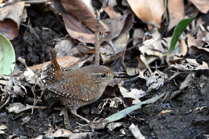 �~�\�T�U�C