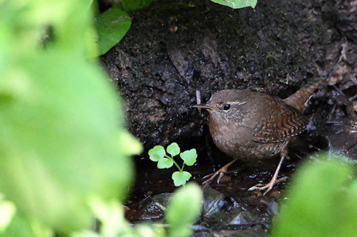 �~�\�T�U�C