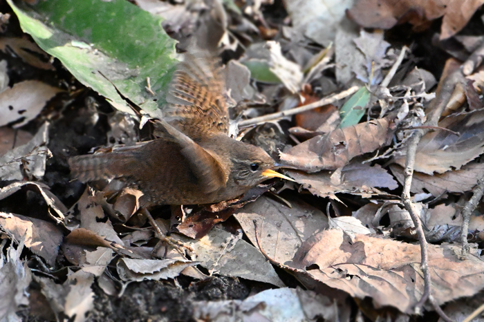 �~�\�T�U�C