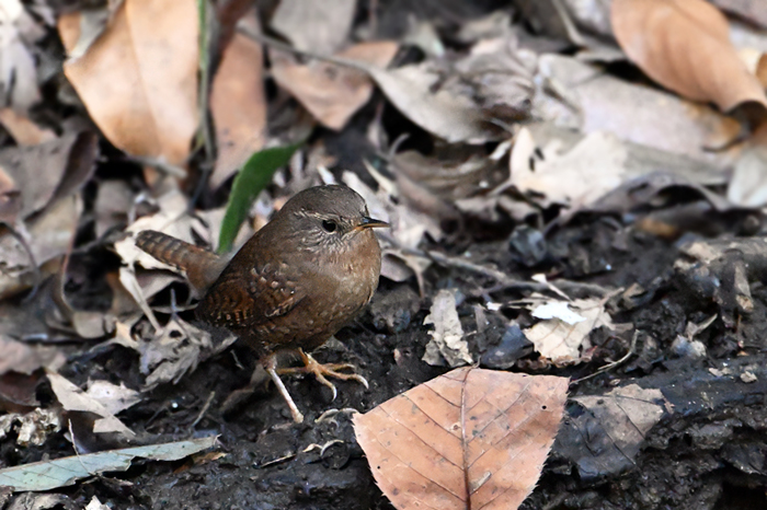 �~�\�T�U�C