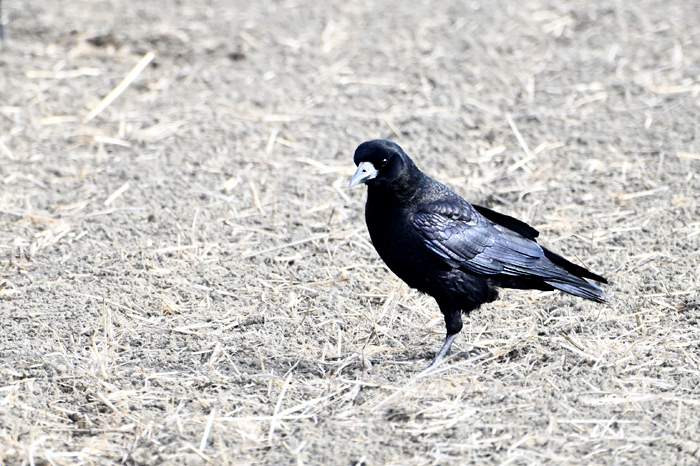 �~���}�K���X