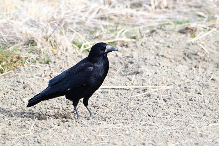 �~���}�K���X