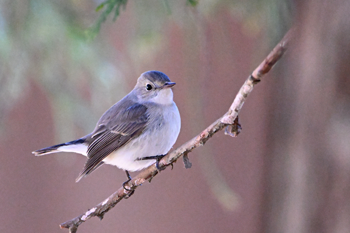 �j�V�I�W���r�^�L