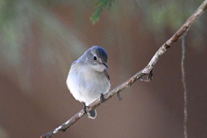 �j�V�I�W���r�^�L