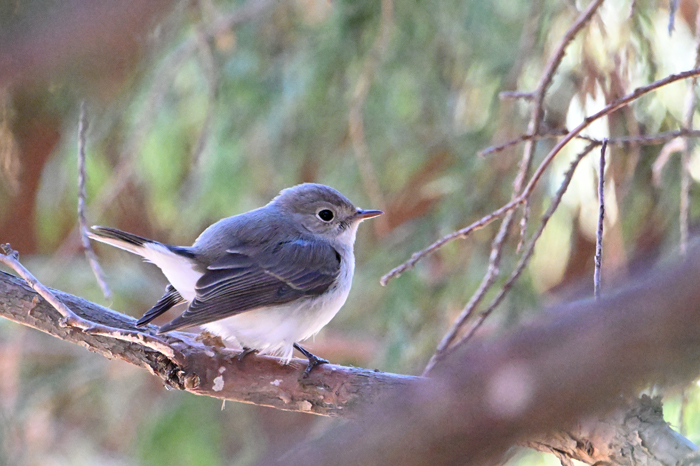 �j�V�I�W���r�^�L