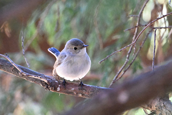 �j�V�I�W���r�^�L