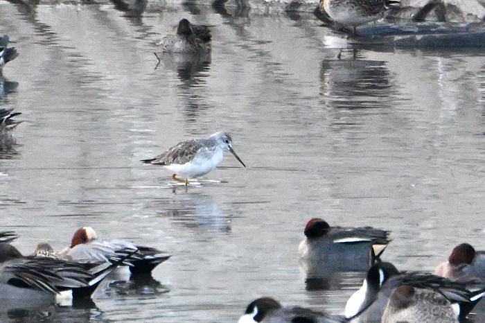 �I�I�L�A�V�V�M